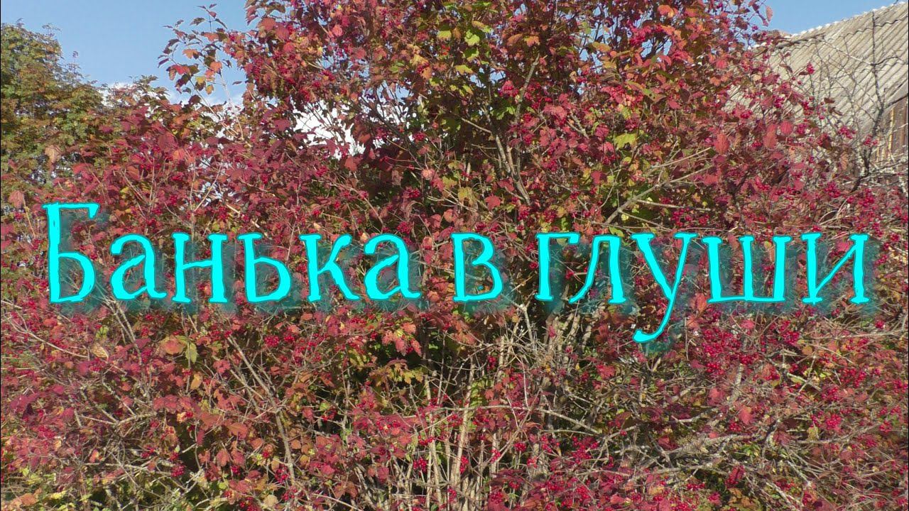 Банька в глуши смотреть онлайн