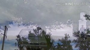 А у нас Аисты поселились... Беково 02.06.2022г.