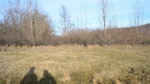 УЧАСТОК в Нефтегорске. Смотрим участок в Нефтегорске по объявлению.