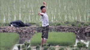 Study: N Korea Farm Output Growth Rate is Asia's Lowest