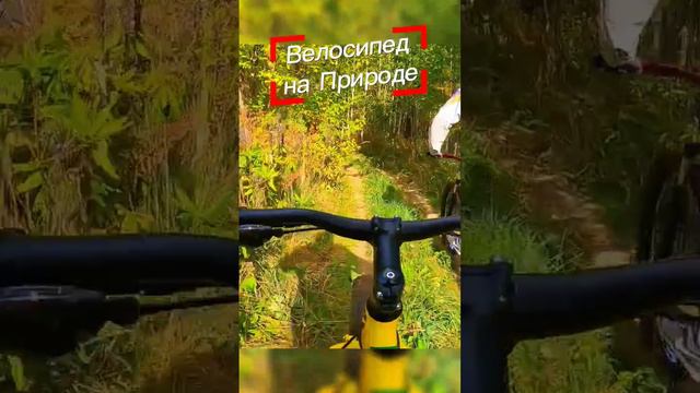 #природа #bike #fatbike #velofatbike #велосипед #велоспорт #фэтбайк #велопутешествие #велопоход