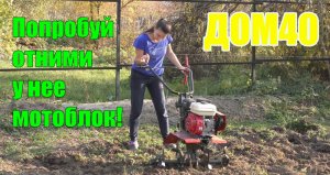 Мотоблок Ока МБ 1д. фрезеруем после картошки