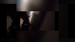 Ночные приключения Андрэ Боярского ))) #чиназес #shorts #боярка #short #чина
