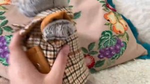 Большая распаковка одежды для Басика
