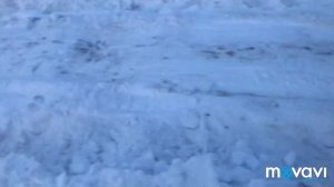 #VLOG_LadaXray засадили в снег ! КРОССОВЕР или ХЭТЧБЕК . Как едет XRAY по снегу