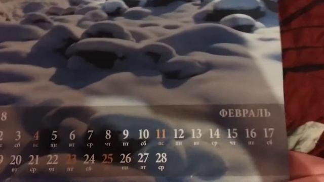 Голова русалочка игрушка делать причёски? смотреть онлайн