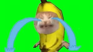 Crying Banana Cat Meme Green Screen (10 hours)