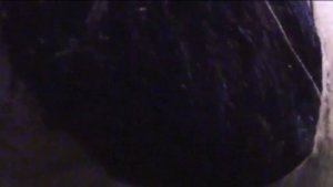 Weregorilla Transformation 3