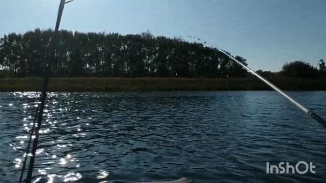 Рыбалка с лодки. Упал в воду. Поймали щуку на 3 кг. Бешеный клёв окуня смотреть онлайн