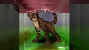 Топ 10 самых злых котов воителей. Новая версия