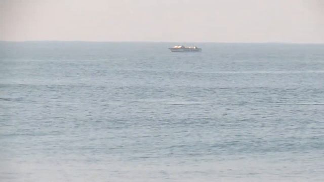 DOLPHINS AT BENAULIM BEACH, GOA