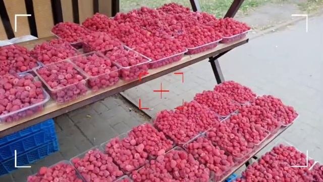 продолжаем собирать ремонтантную малину ......