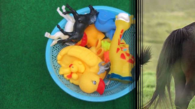 Изучение животных английский слон жираф лев зебра крокодил кролик свинья утка панда овца обезьяна смотреть онлайн