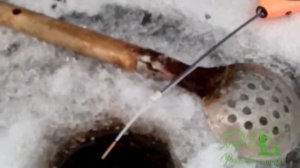 Рыбалка в Нижнем Тагиле и в Петроках