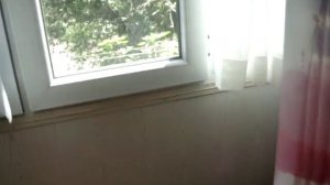 Мега Масс 2000 от Вейдер