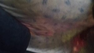 VID_20240812_124856.mp4