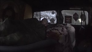 Ловля Сома на Мидию и Кальмар р.Луга|| Чудо Рыбалка на ФИДЕР||Плотва Пескарь Подлещик||Лесная Кухня