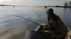 Ловим сомов на Бахтемире.