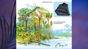 §15 "Папоротники", Биология 5 класс, Сивоглазов, Плешаков.mp4