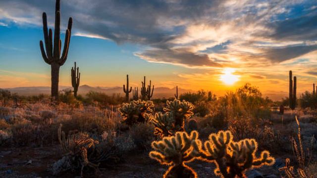 Arabian Music - Meditation In Desert Arabian Flute & Arabian Nights Sahara Relax One Hundred Percen