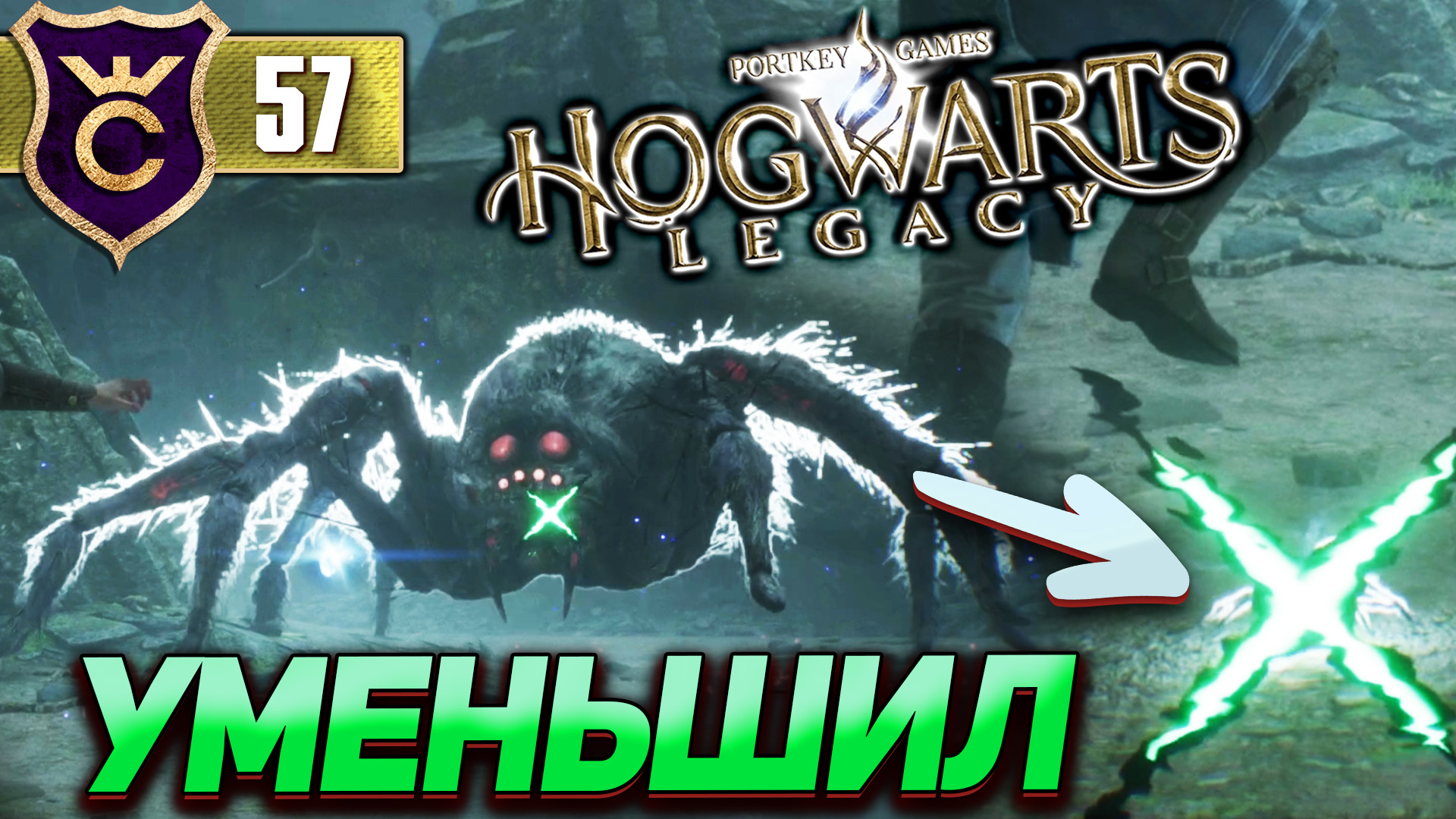 Hogwarts legacy депульсо 2 фото 37