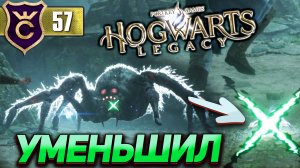 ПРЕВРАТИЛ ГИГАНТСКОГО ПАУКА В МАЛЕНЬКОГО! Hogwarts Legacy #57