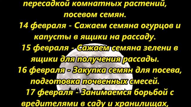 Лунный посевной календарь на февраль смотреть онлайн