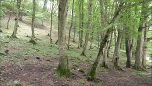 "Зона отдыха Салима". Нальчик, Белая Речка. 02 июня 2023