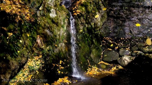 Знакомство с дедом. Веселая история из жизни. смотреть онлайн