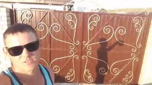 Шикарные ворота и калитка с металлопрофиля и коваными изделиями готово
