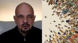 Что значит видеть насекомых во сне, к чему снятся насекомые? | Толкование снов