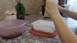 Проращивание овса в домашних условиях