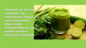 Петрушка. Свойства петрушки. Чай из петрушки.