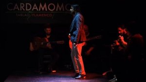 Cardamomo Tablao Flamenco dance-Madrid,Spain