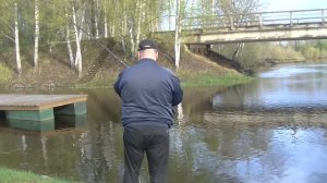 Ловля крупной плотвы на поплавочную снасть в проводку весной.Река Салаца.Открытие сезона 2018