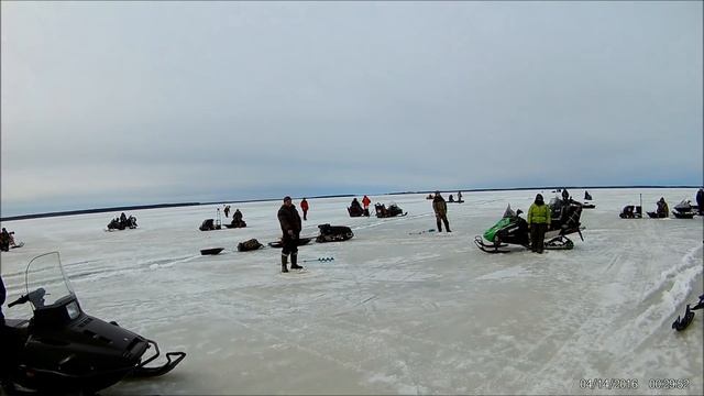 Рыбинка 08.04.2018г. смотреть онлайн