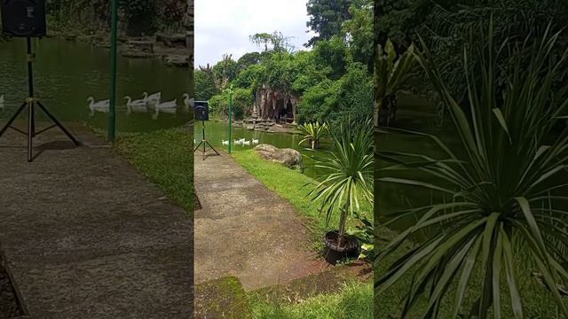 Taman Burung | Taman Mini Indonesia Indah (TMII), East Jakarta, Indonesia