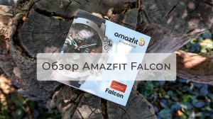 Обзор Xiaomi Amazfit Falcon