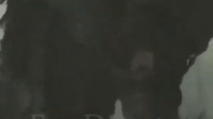 Аббас ибн Али