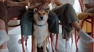 Почему нельзя показывать пальцем