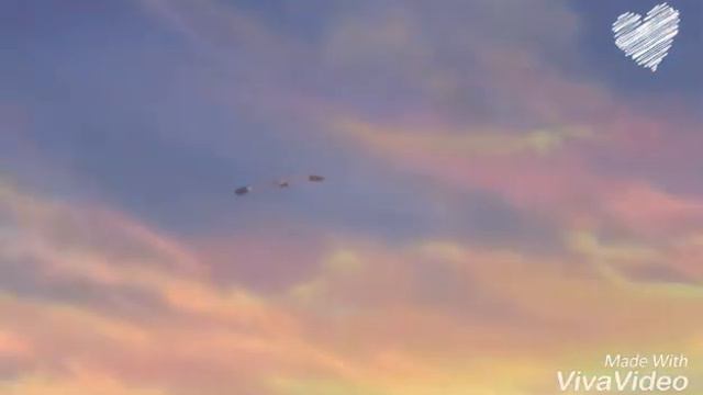 One piece • Небо, засыпай {AMV} смотреть онлайн