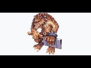 кот лапочка