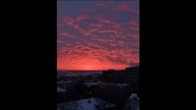 Когда Заселили ОАЭ? смотреть онлайн