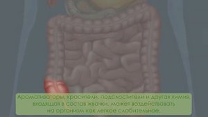 Насколько это опасно — проглотить жвачку?