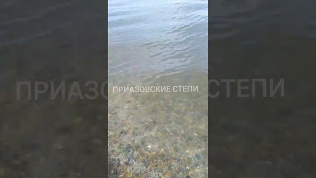 Только апрель, а в Ейске вода у берега моря прогрелось до +16 градусов