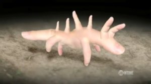 Эволюция на пальцах