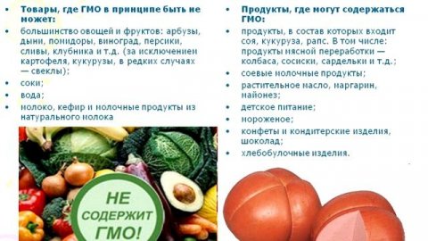 Что выбираете вы? Отличие ГМО продуктов от обычных. ГМО семена - продаются ?