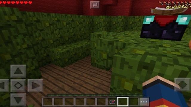 Nova série no canal смотреть онлайн