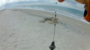 Азовское Море, Пелингас, Бердянск, Бердянская Коса