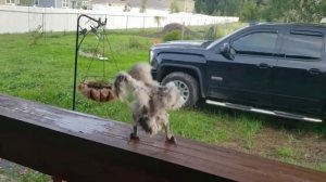 Потрепан жизнью, но не сломлен)